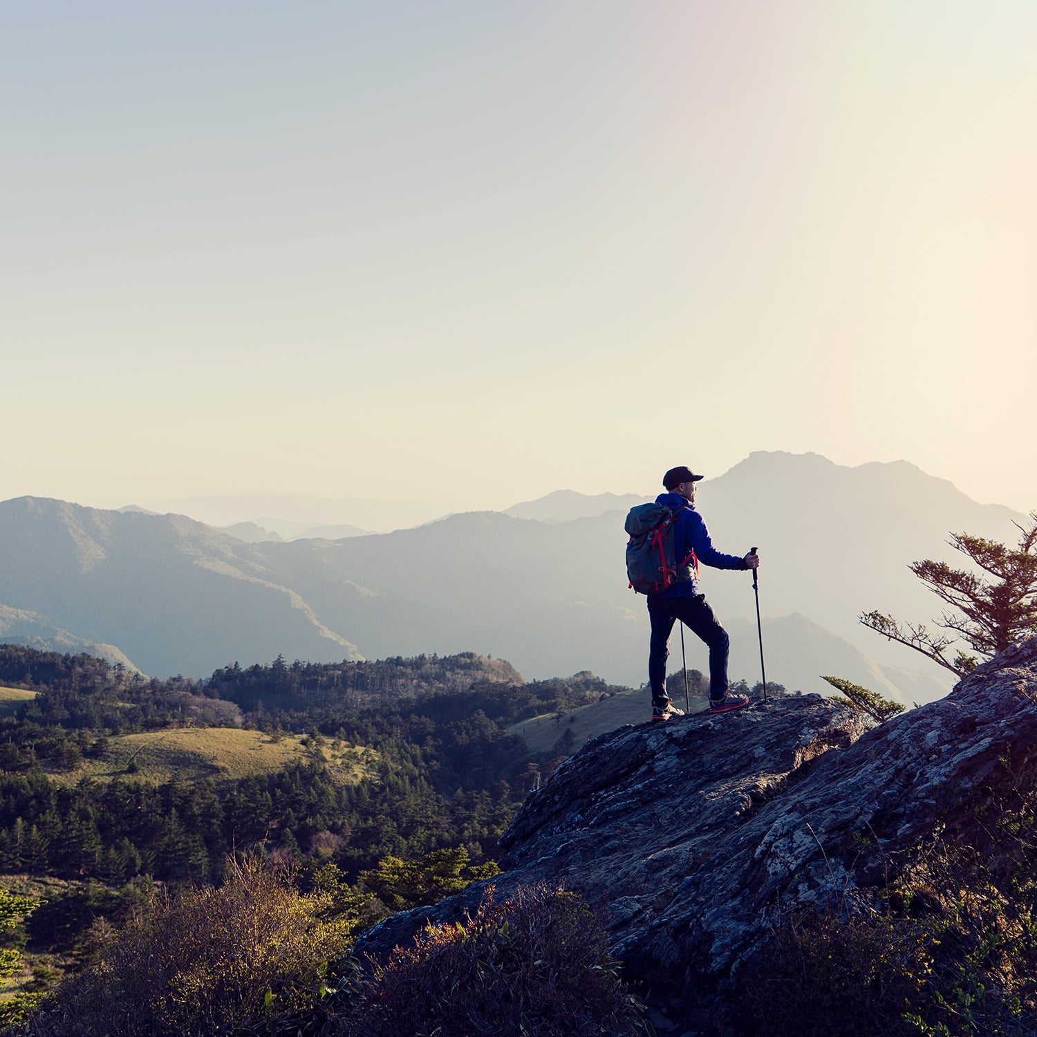 Hiker stares at a landscape