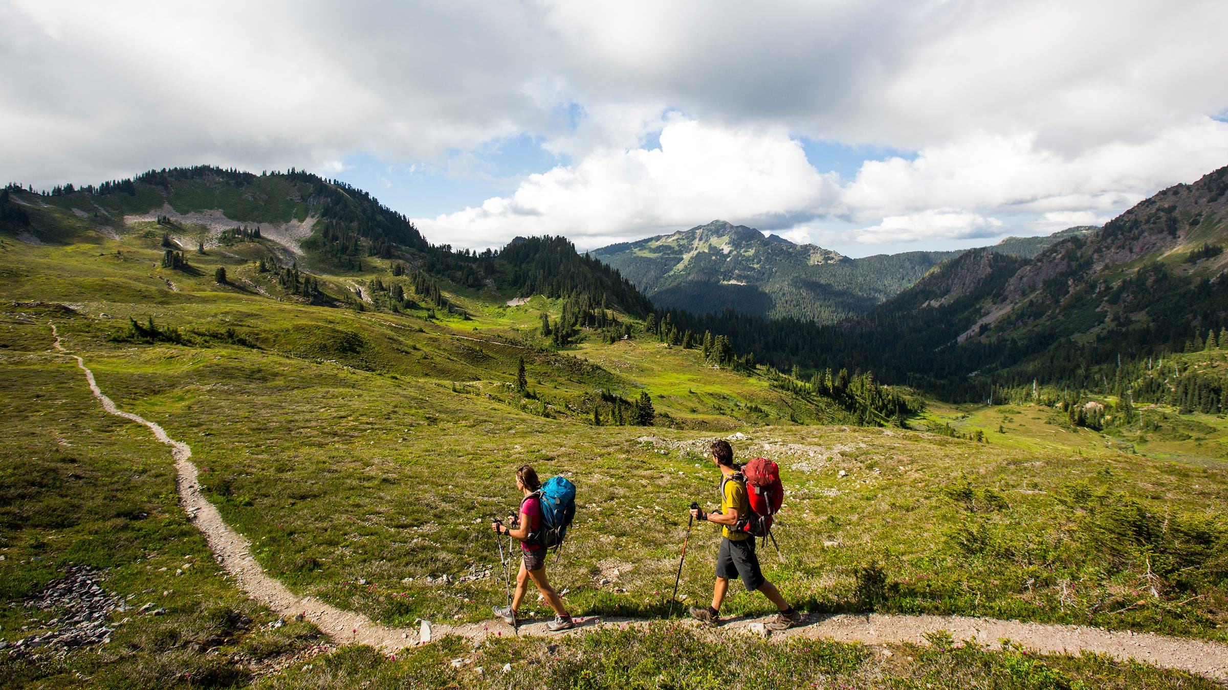 mountain hiking on trail at Olympic National Park
