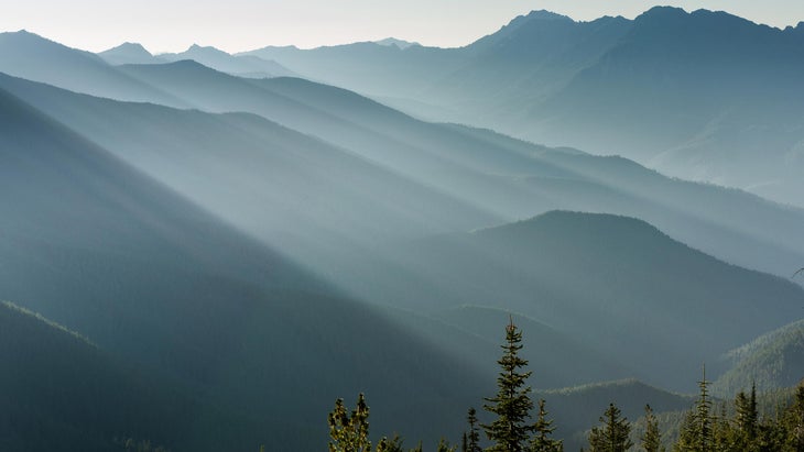 Obstruction Point Olympic National Park