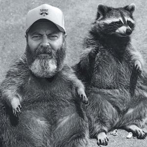 Photo illustration of Nick Offerman's head on a raccoon