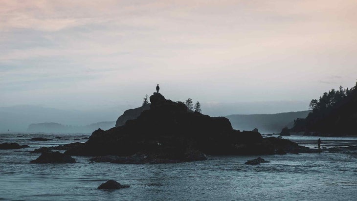 Olympic national park coastline