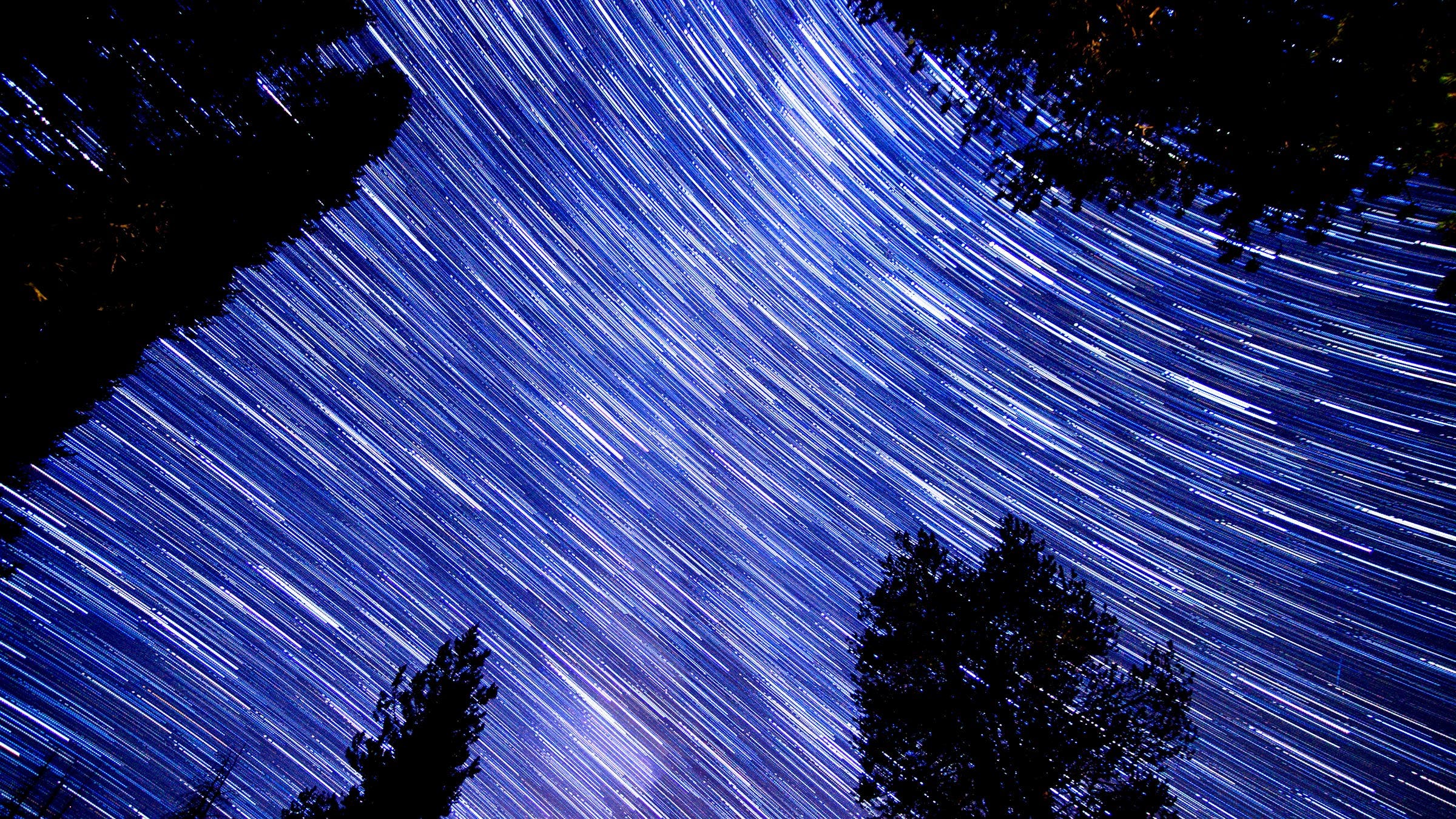 stars planets sequoias