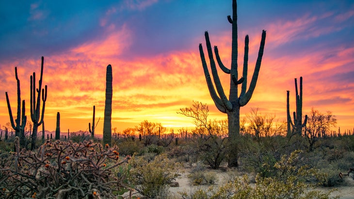 road trip through southwest usa