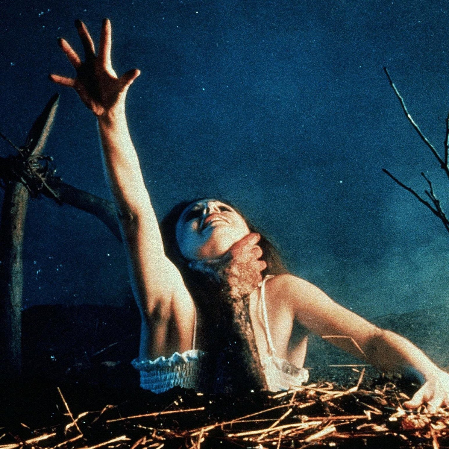 The Evil Dead [1981] : Sam Raimi : Free Download, Borrow, and Streaming :  Internet Archive