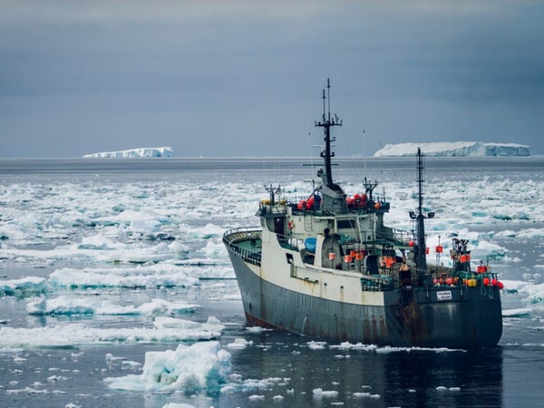 The Thunder tries to escape by charging through a perilous patch of ice fields in Antarctica's Southern Ocean.