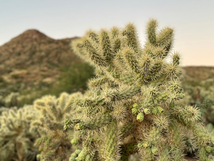 If You Don't Have Time for a Long Thru-Hike, the Arizona Trail Is a  Perfect—and Spectacular—Shorter Trek