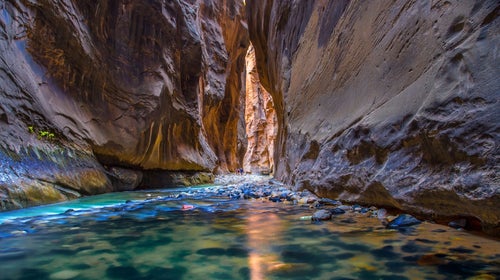 The Narrows is a tight canyon in Zion National Park
