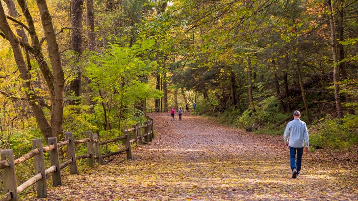 New pedestrian bridge near Forbidden Drive in Wissahickon Valley Park could  be built in late 2022