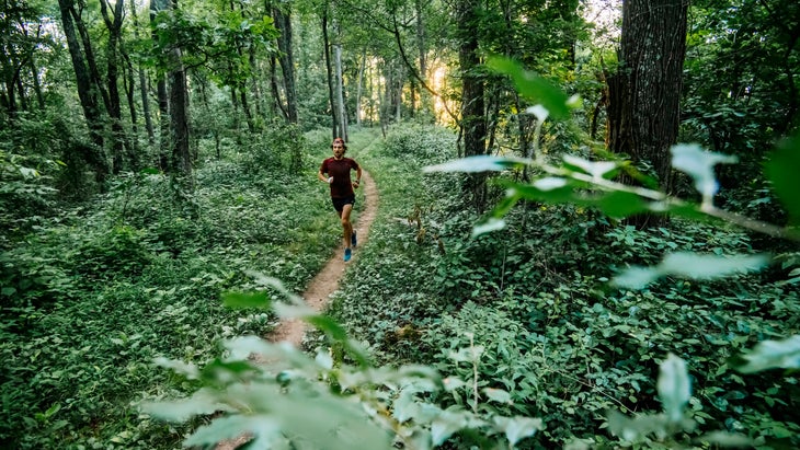 Man jogging in green forest along Mountain to Sea Trail, Asheville, North Carolina, USA