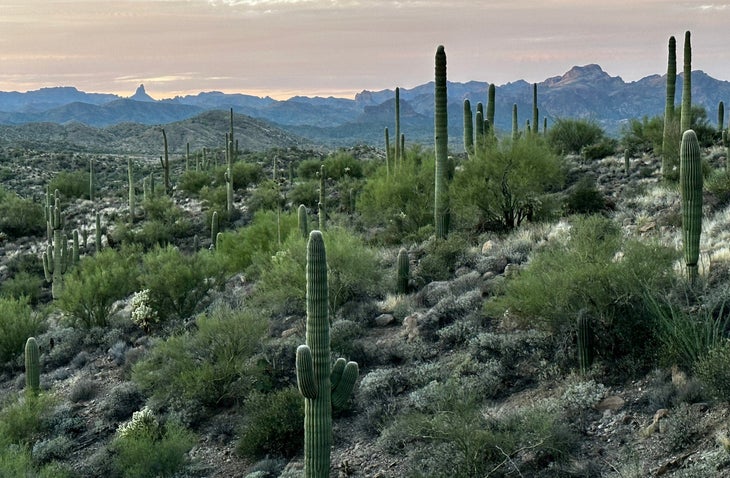 If You Don't Have Time for a Long Thru-Hike, the Arizona Trail Is a  Perfect—and Spectacular—Shorter Trek