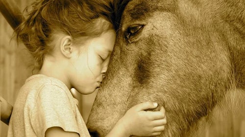 Maizie and Legend in 2016