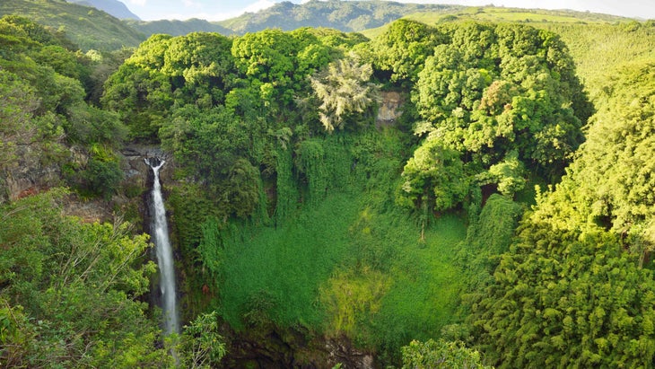 Makahiku Falls drop 200 feet into a verdant hole at Maui鈥檚 Haleakala National Park听