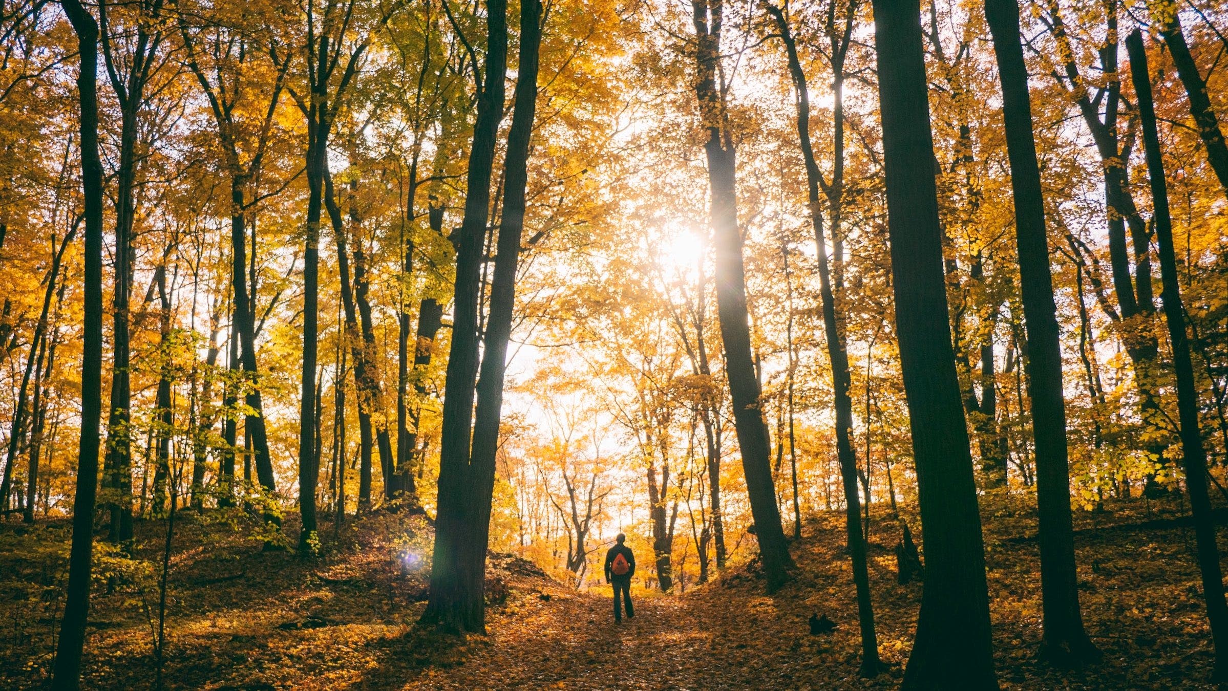 The Gear Our Editors Loved in October