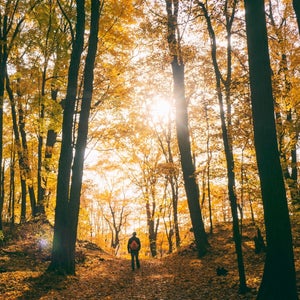 Walking in fall leaves