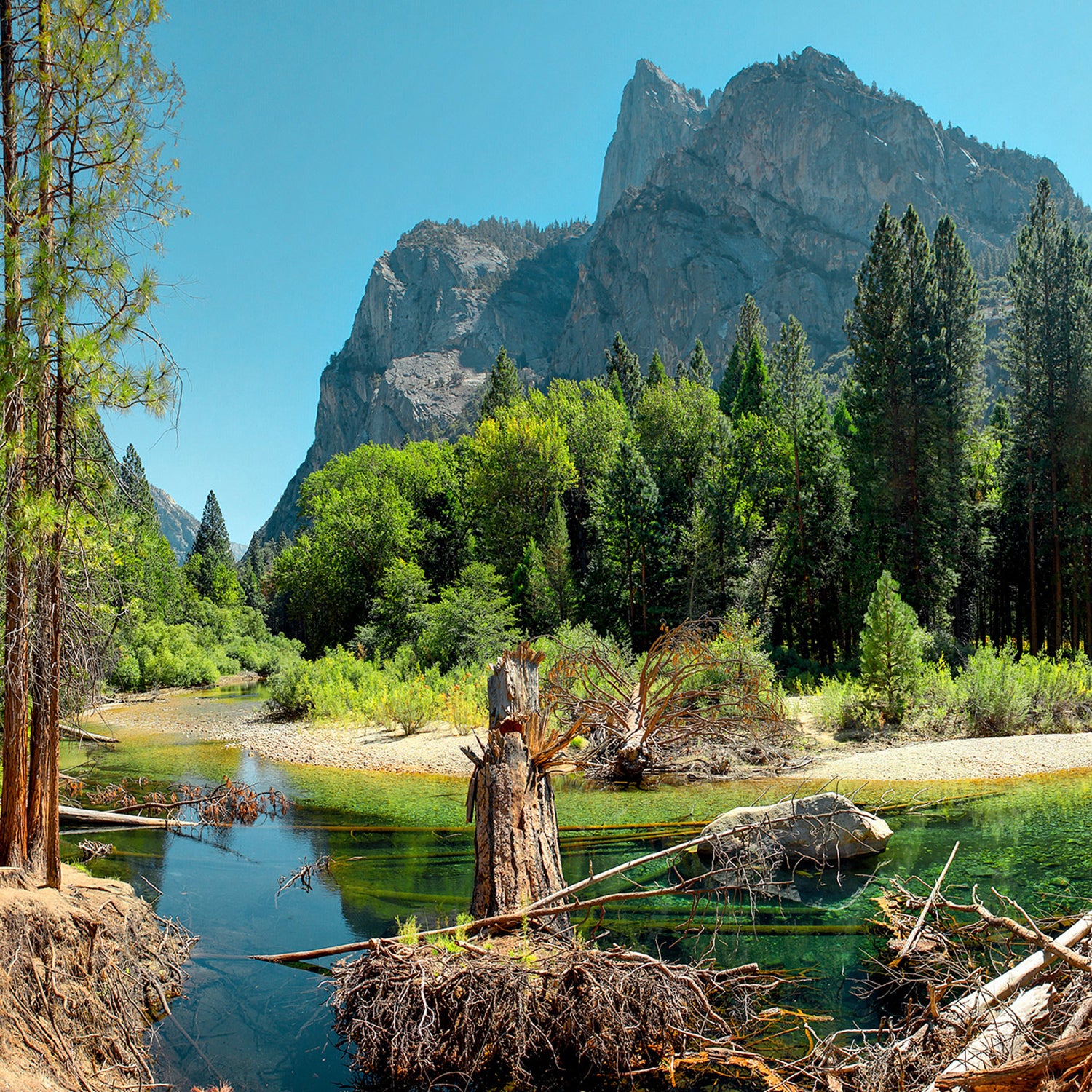 Guide to Sequoia & Kings Canyon National Parks - Outside Online