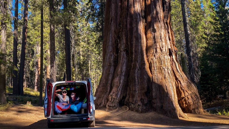 women in camper with sequoias