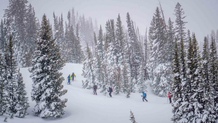 skiers in mountains