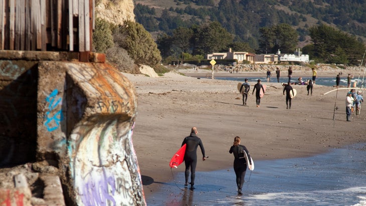 Bolinas is known as a beginner surf spot. It’s also a dog-friendly beach and popular with anglers.