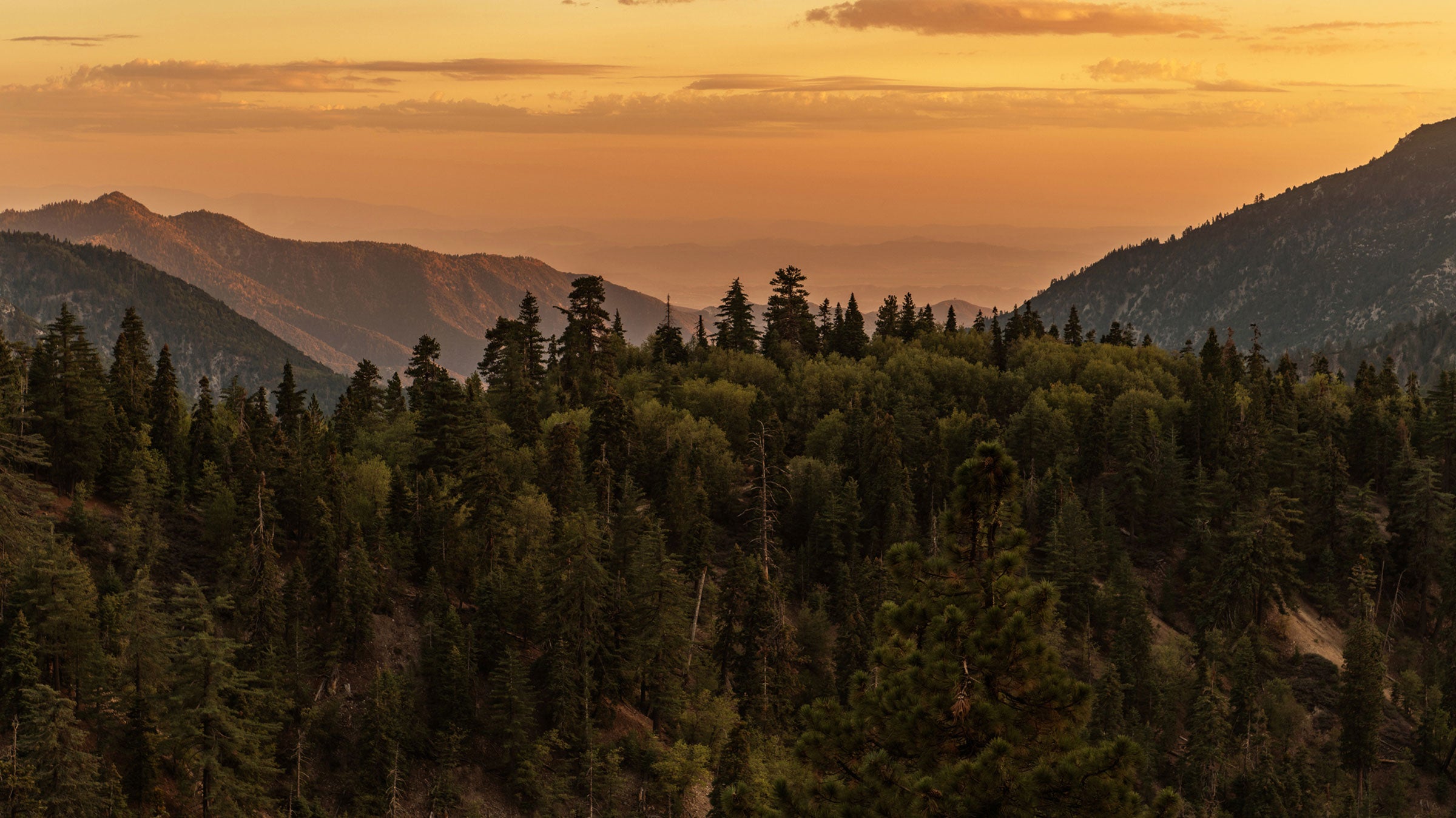 A hiker was stranded in San Bernardino county. He's lucky to be alive. 