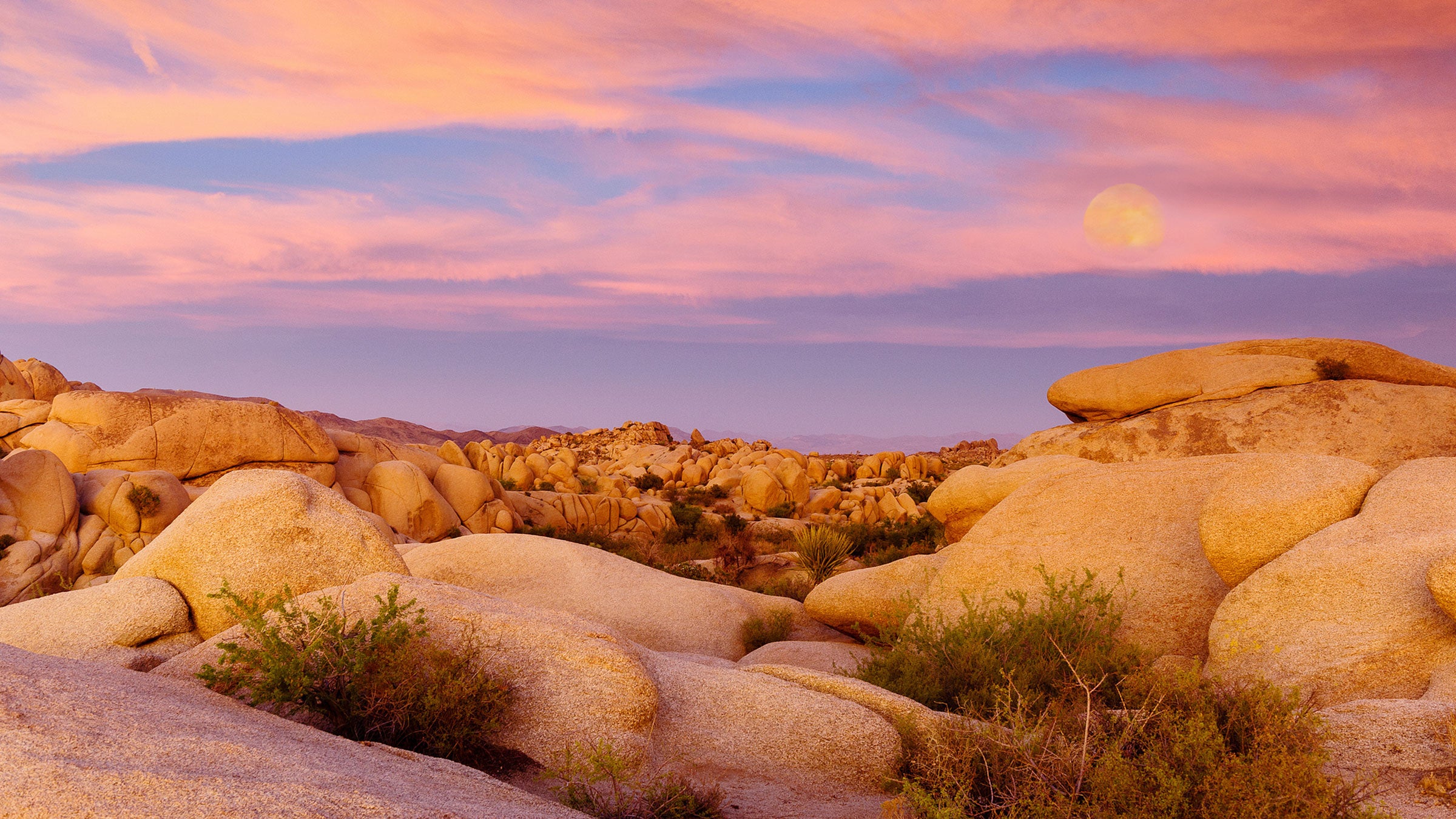 Joshua Tree National Park at night.