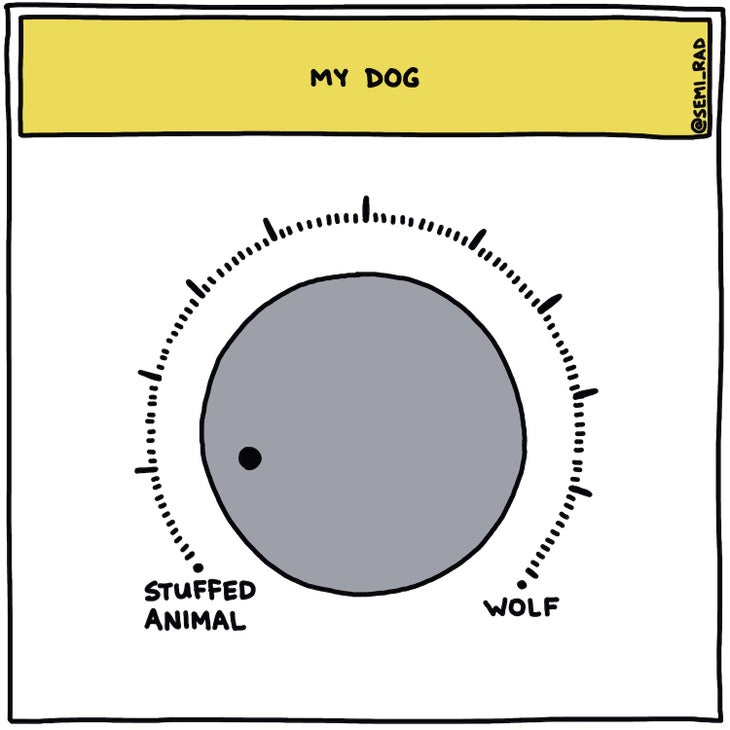 My dog stuffed animal vs wolf dial, closer to stuffed animal
