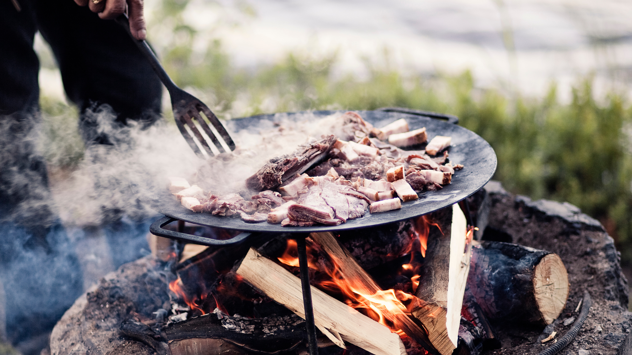 Reindeer meat