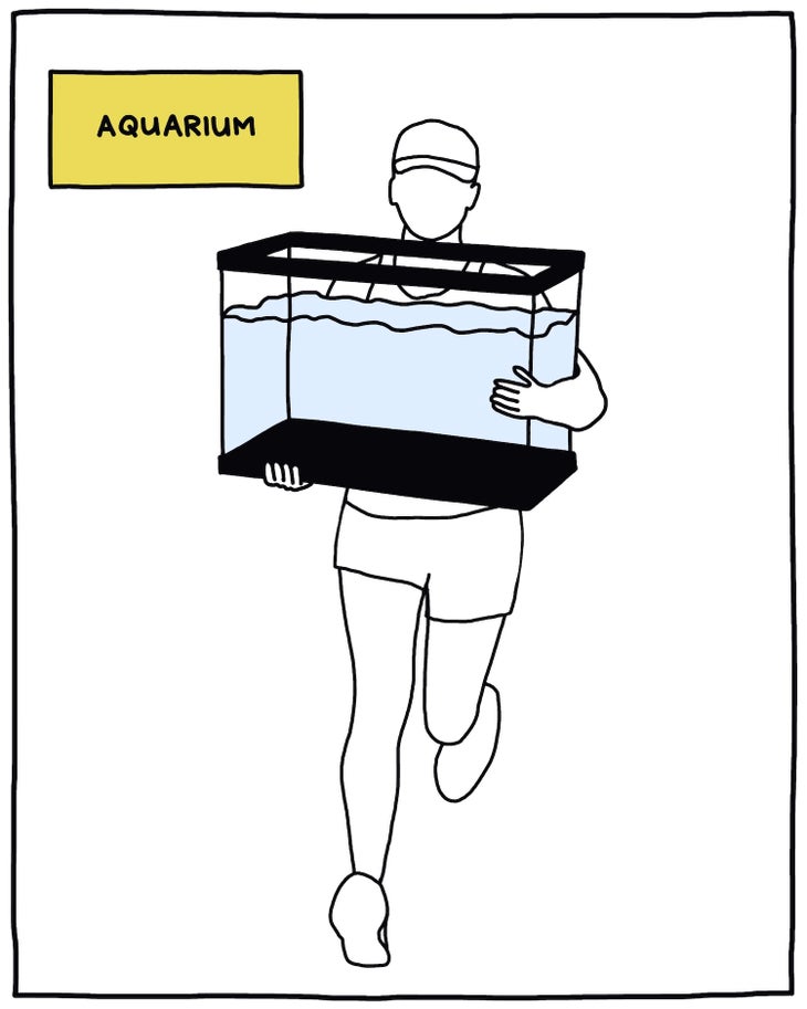 illustration of runner holding an aquarium