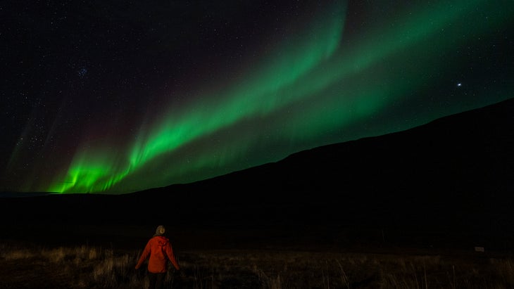 Aurora Borealis & the Night Sky - Denali National Park & Preserve (U.S.  National Park Service)