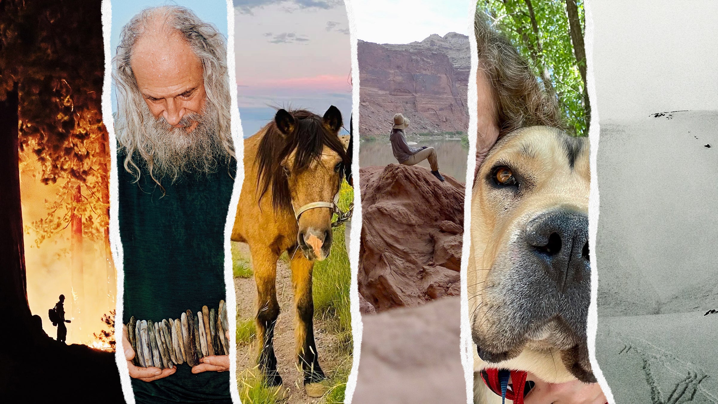 Outside editors' favorite features of the year, image collage