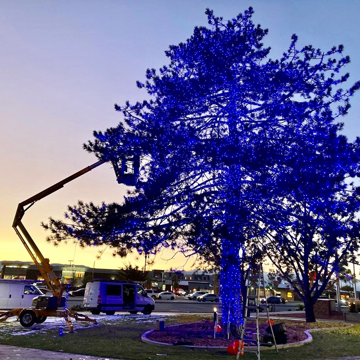 A fully lit tree in Orem