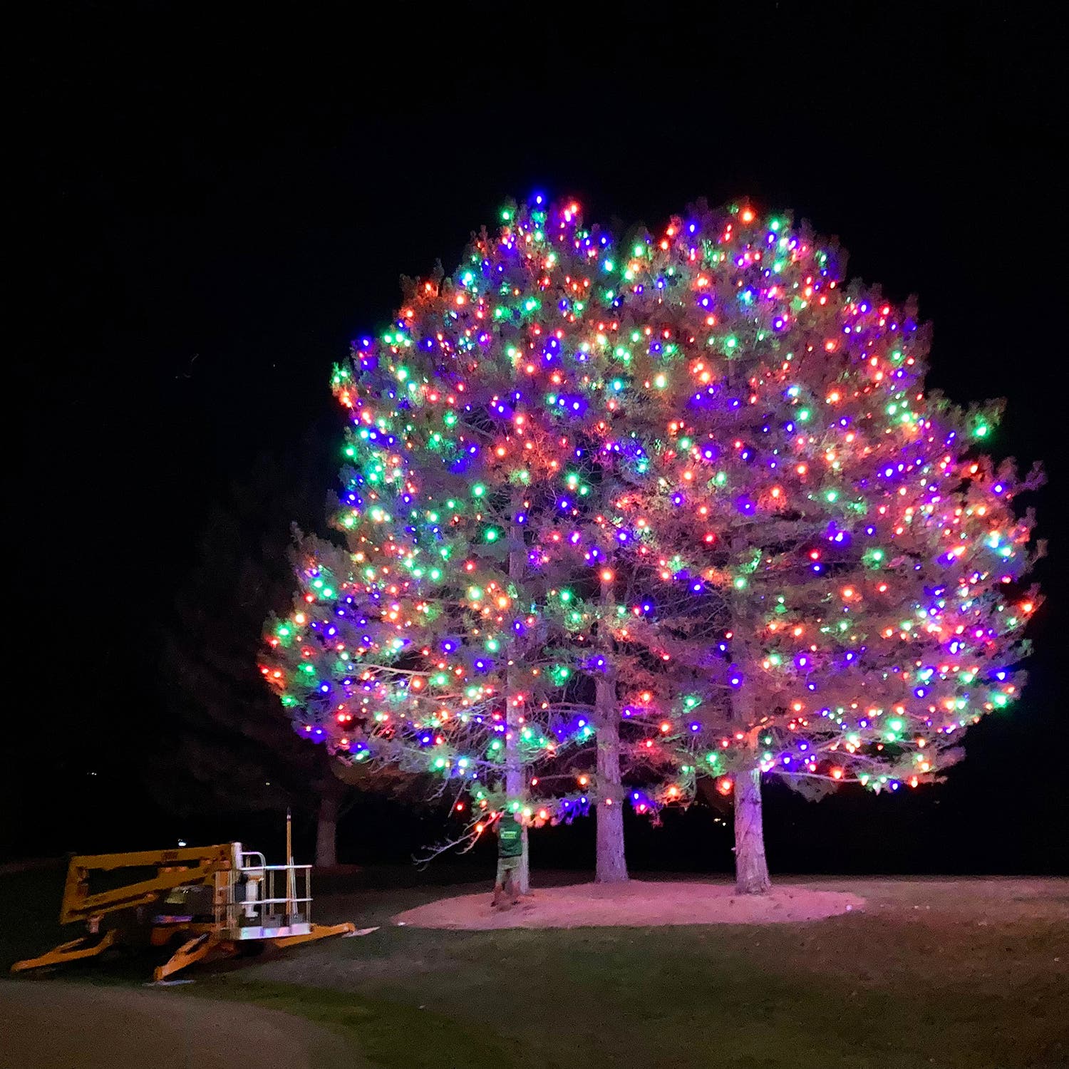 Lights at the Willow Creek Country Club in Sandy