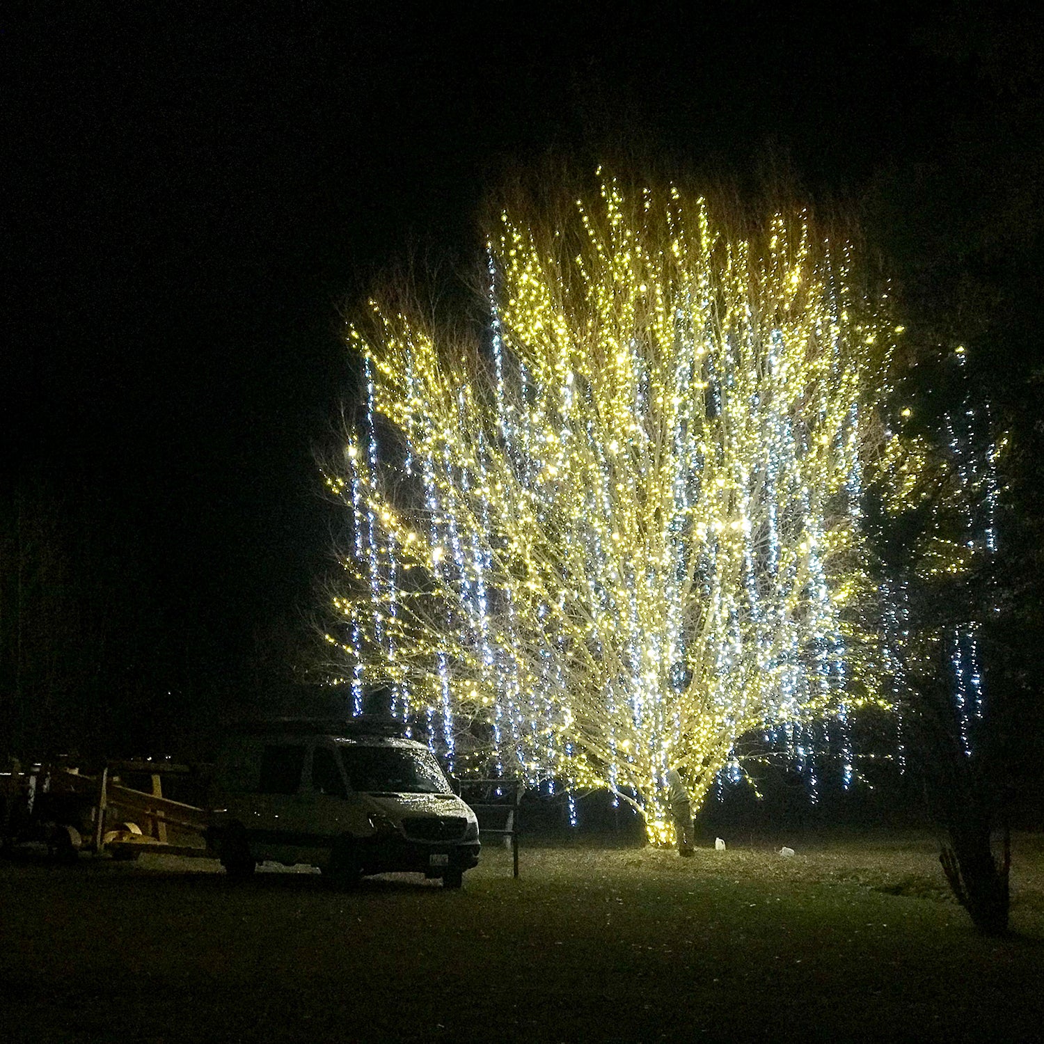 The Daring Dirtbags Who Make Salt Lake City Sparkle