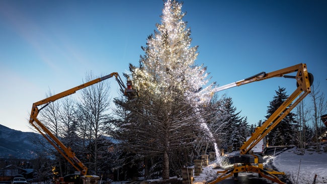 Two installers double-teaming a massive 60' spruce tree in the Park City, UT.