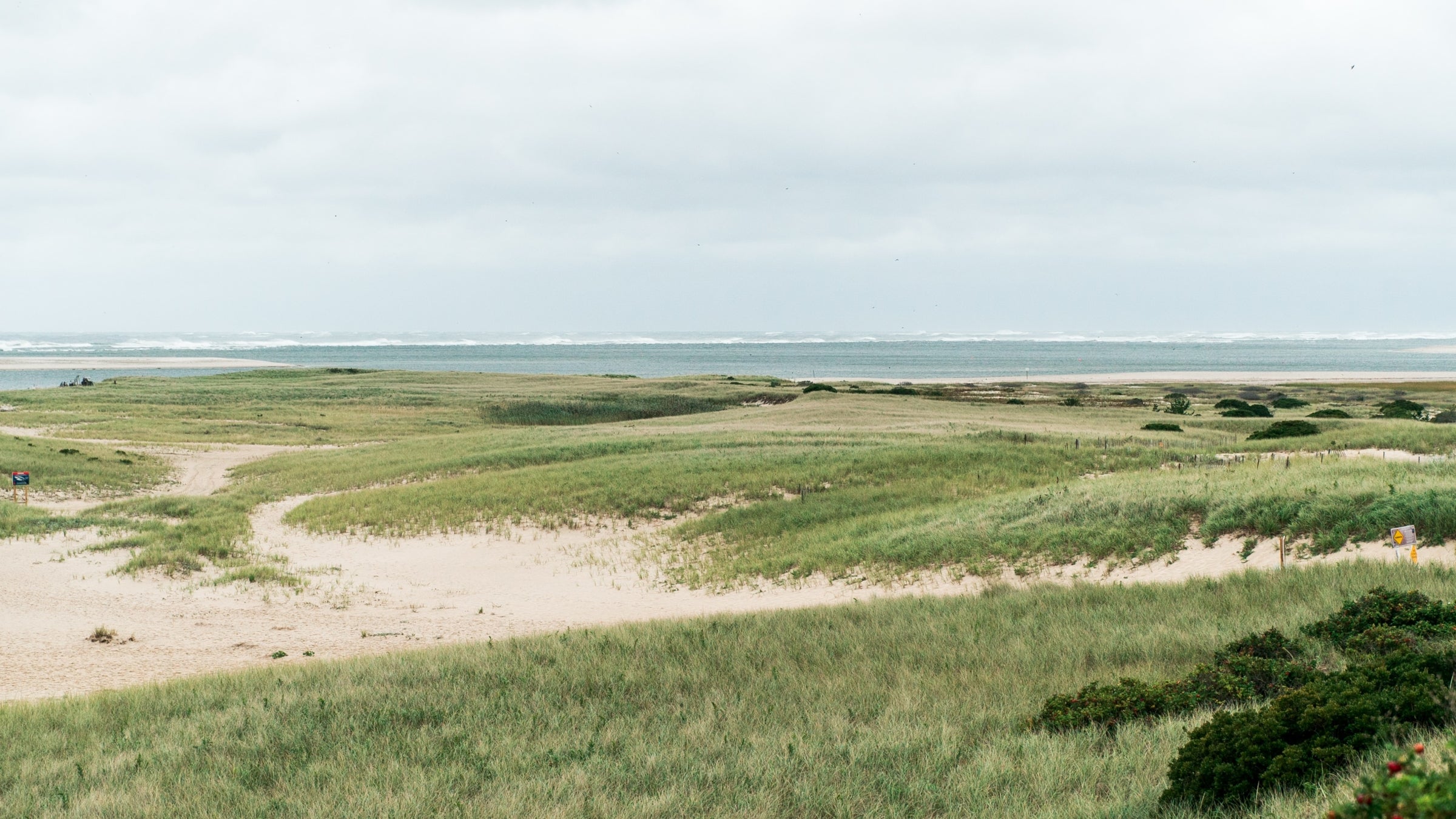 Dunes with grass and ocean