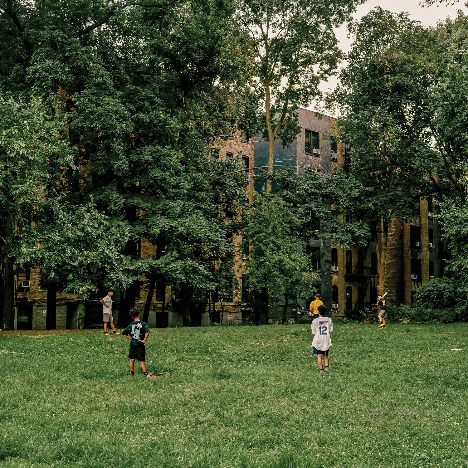 people playing softball at a New York park
