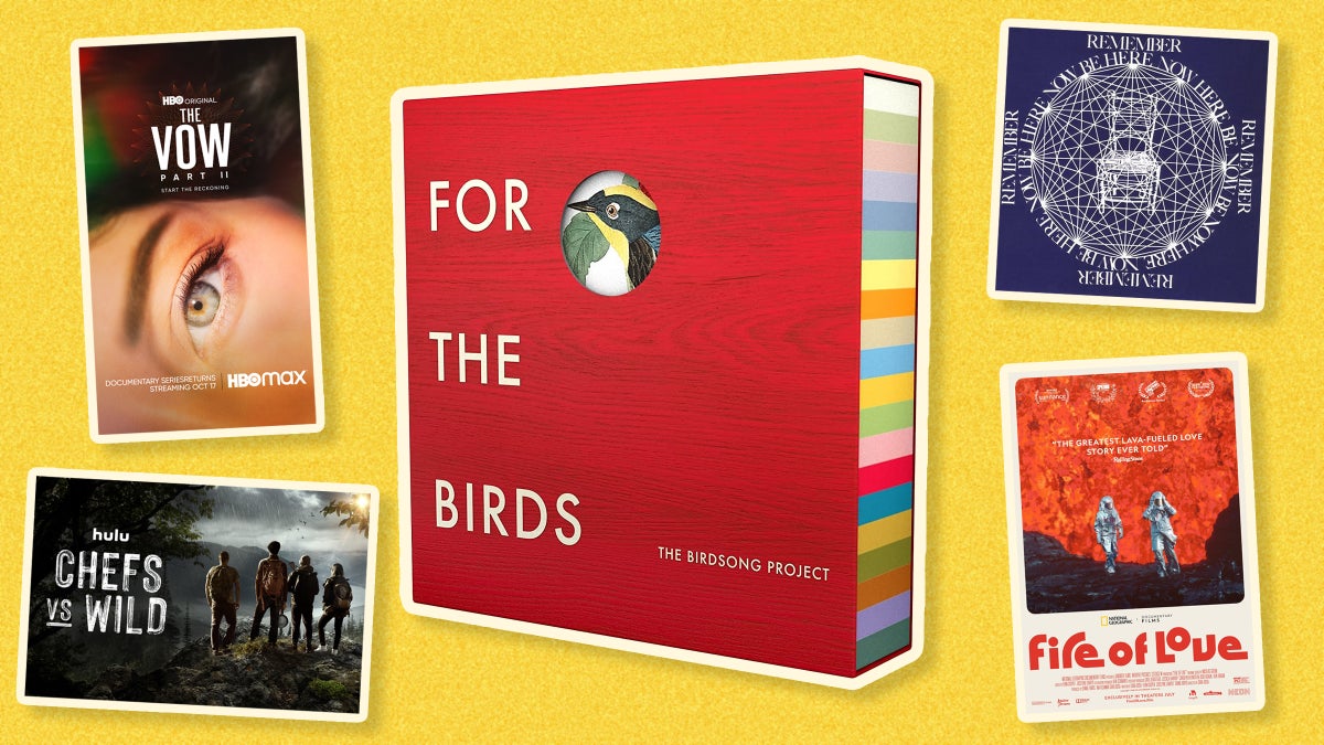 ‘The Birdsong Project,’ and Everything Else Our Editors Loved in November