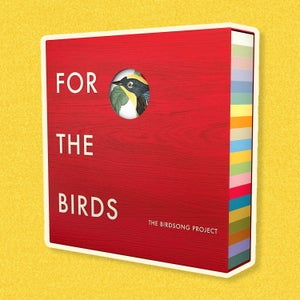 Outside editors’ picks for November 2022