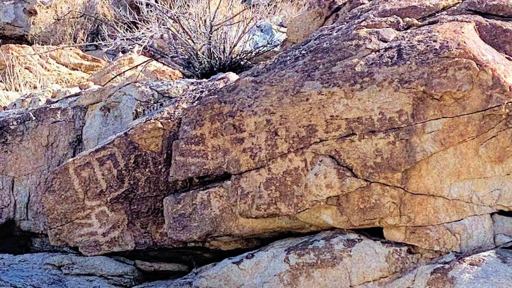 petroglyphs