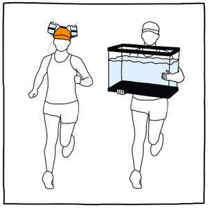 illustrations of runners carrying water
