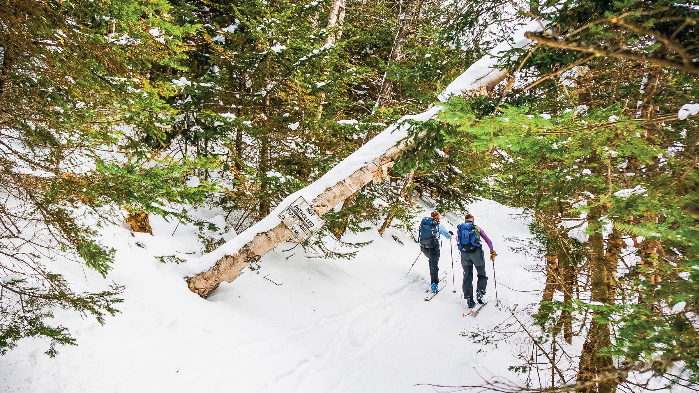 Catamount Trail, Vermont