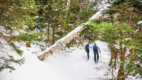 Catamount Trail, Vermont