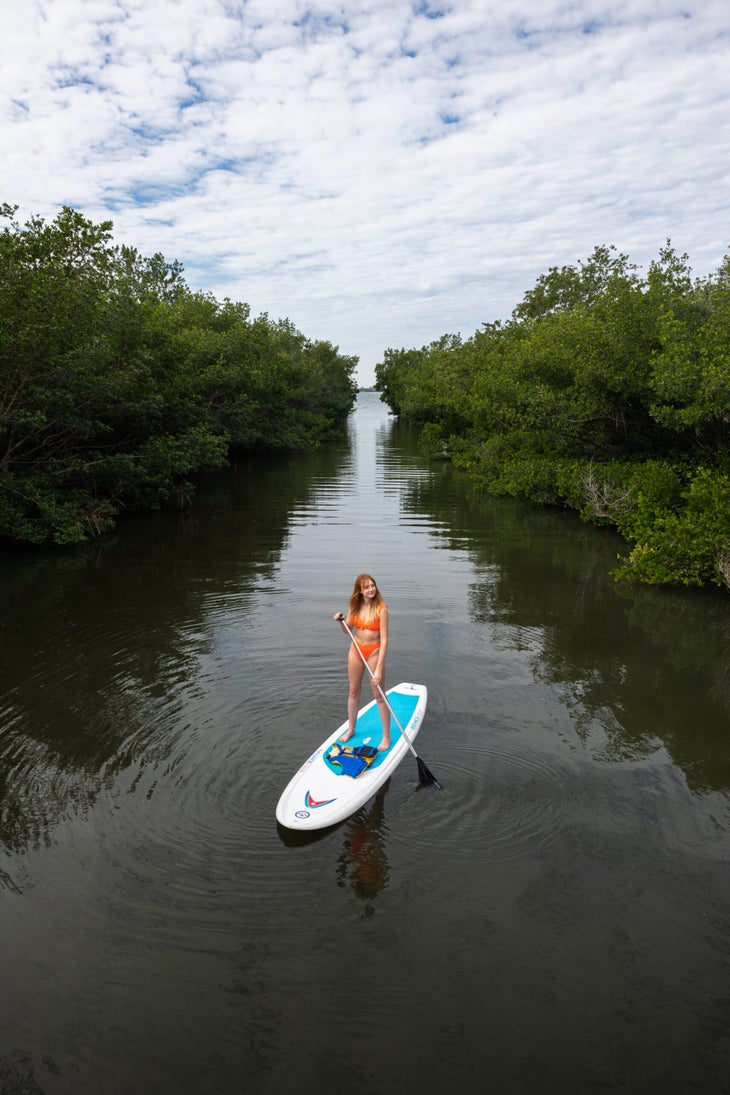 Launch a paddleboard and explore the mangroves.