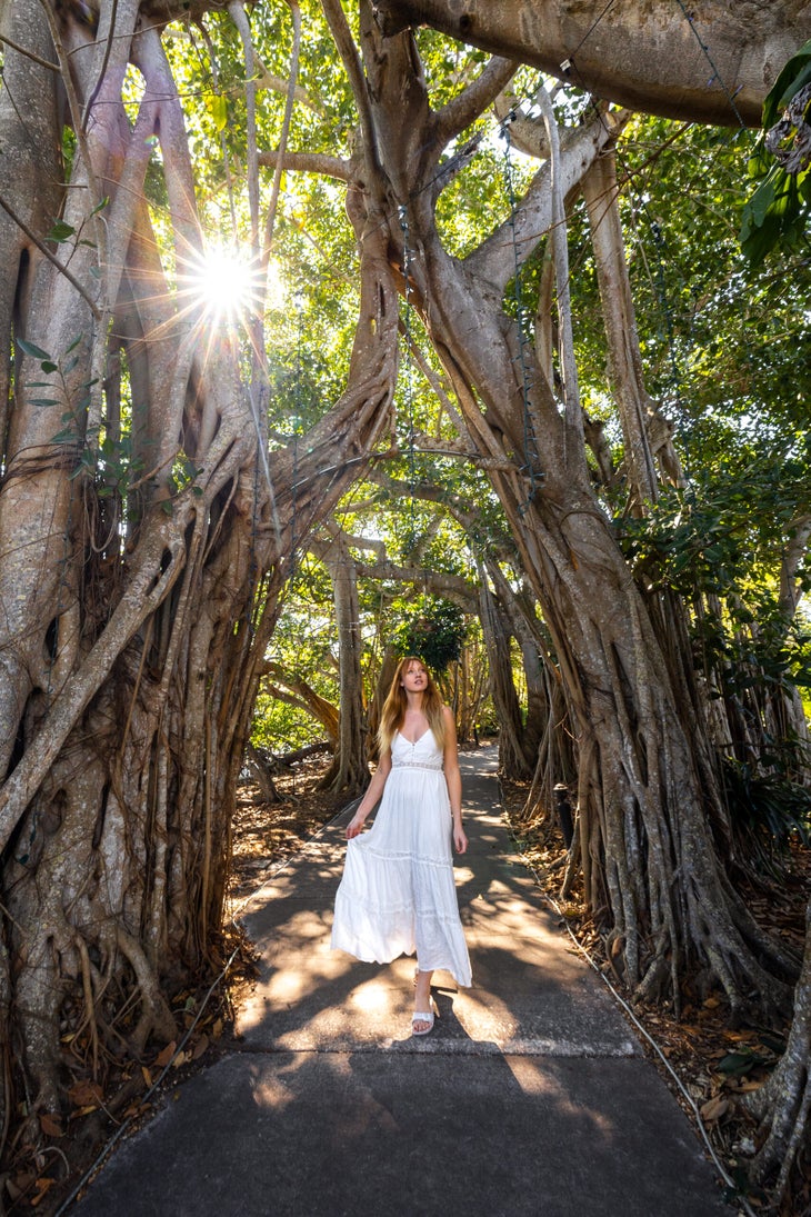 Marie Selby Botanical Gardens