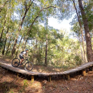 Hit the trails and float the rivers in Ocala and Marion County