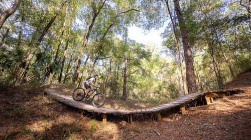 Hit the trails and float the rivers in Ocala and Marion County