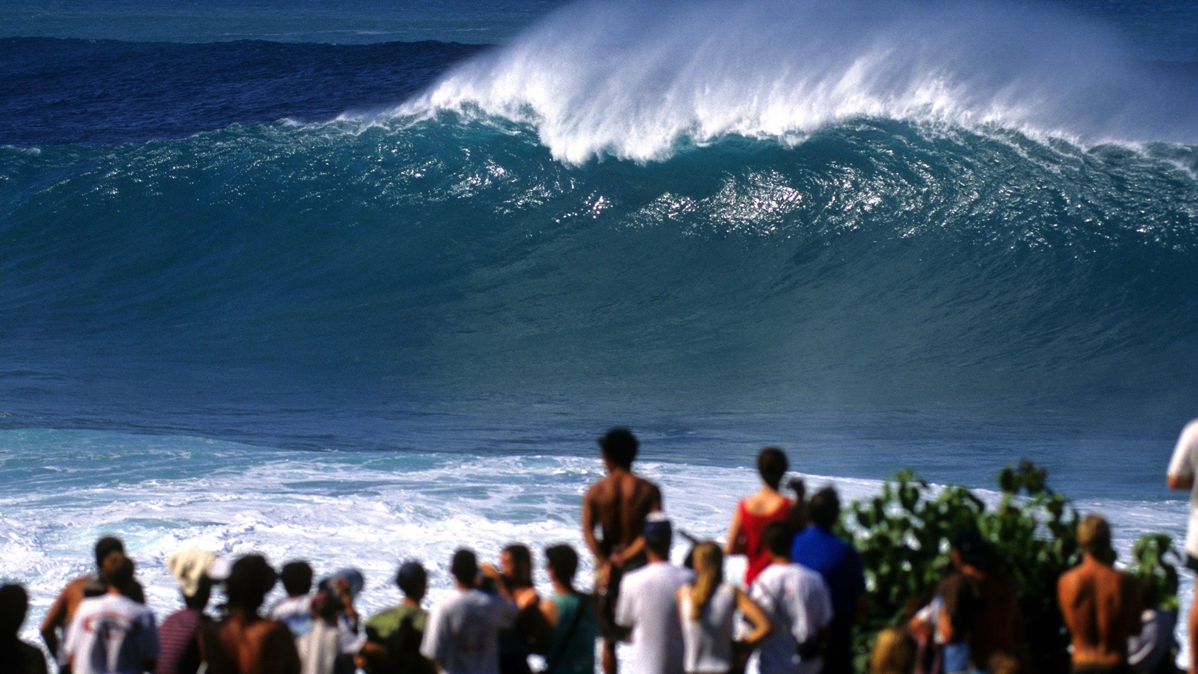 The waves returned to Waimea Bay for the 2023 Eddie Aikau Invitational. 