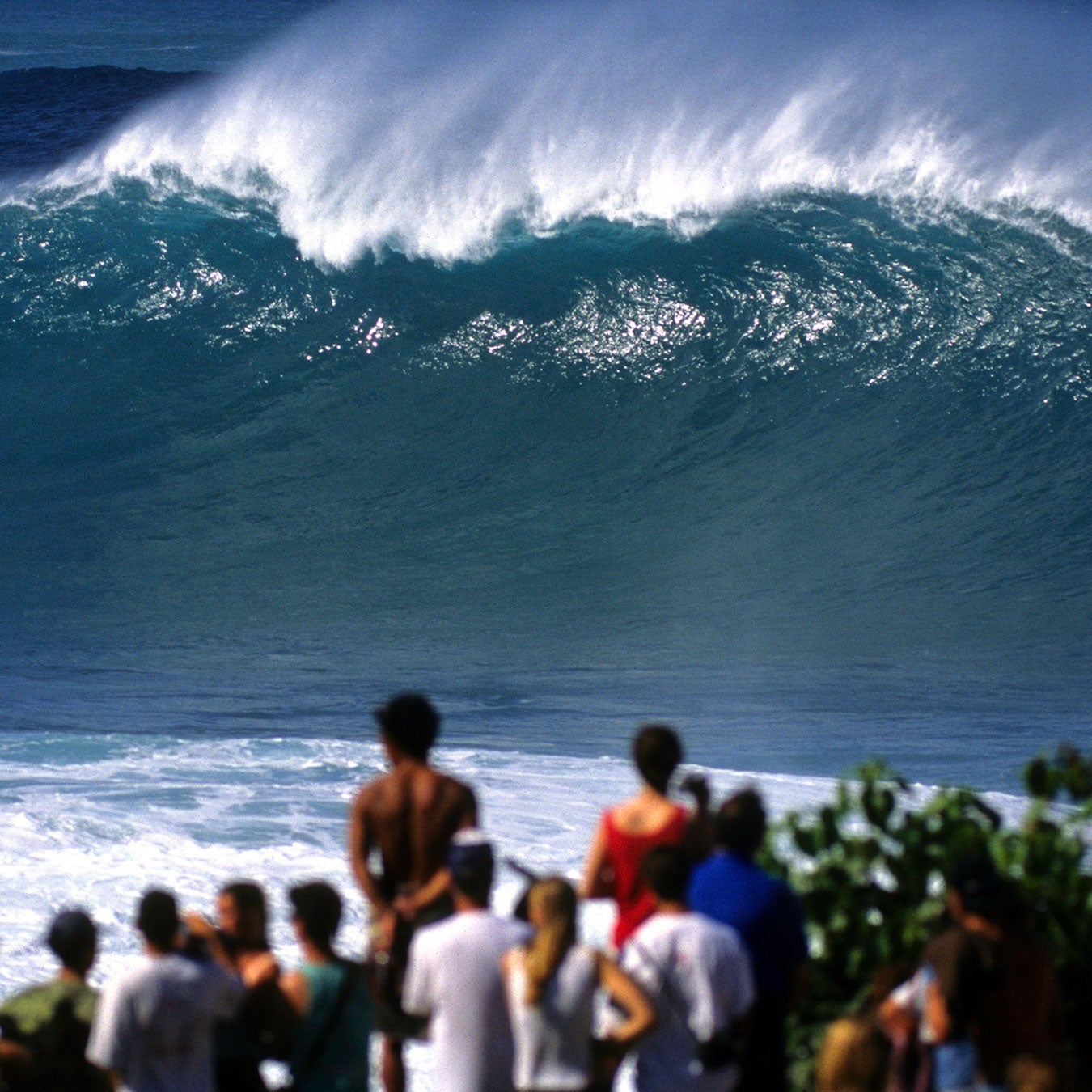 A Photographer Followed a Massive Swell from Waimea Bay to Ocean