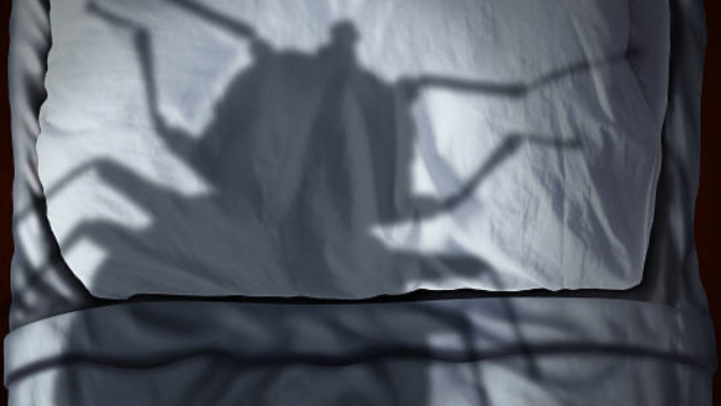 For one traveler, the thought of having bedbugs crawling on her body was worse than the bites themselves.