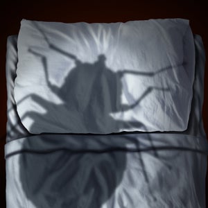 For one traveler, the thought of having bedbugs crawling on her body was worse than the bites themselves.