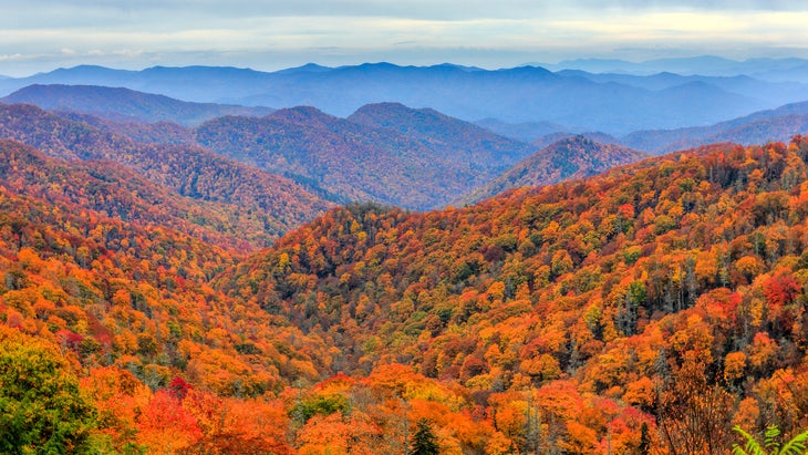 autumn colors mountain
